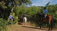 Horseback_riding