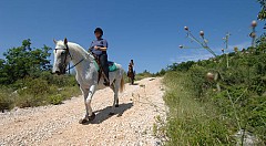 Horseback_riding