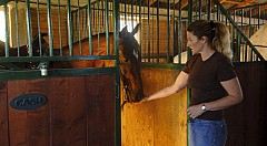 Horseback_riding
